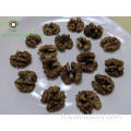 Kernel Kernels Halves (AH) di Yunnan